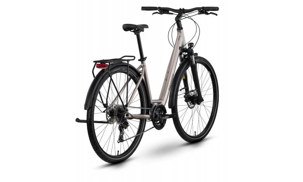 Velosipēds Raymon Zayn Comp Easy Entry 2026 taupe grey-black - 3