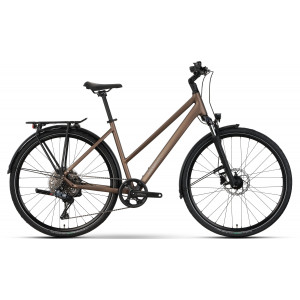 Velosipēds Raymon Zayn Auto Trapeze 2026 mushroom