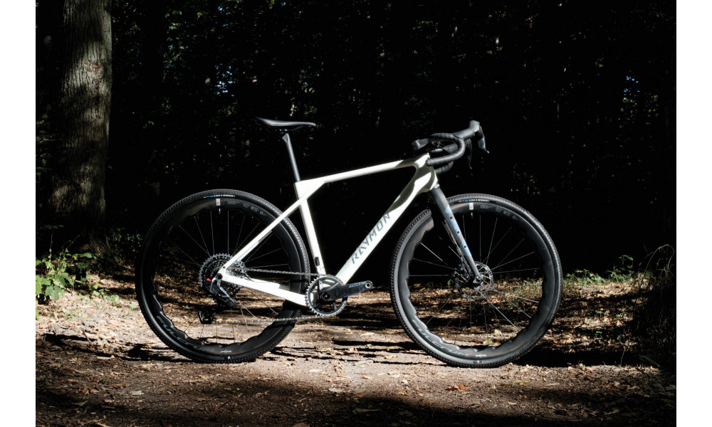 Velosipēds Raymon Soreno Ultimate 2026 white marble - 6