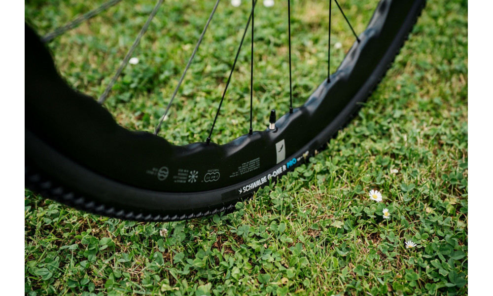 Velosipēds Raymon Soreno Ultimate 2026 white marble - 10