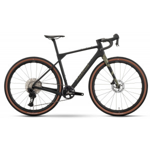 Velosipēds Raymon Soreno Ultra 2026 carbon-forest green