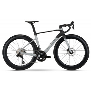Velosipēds Raymon Arva Pro 2026 grey-carbon