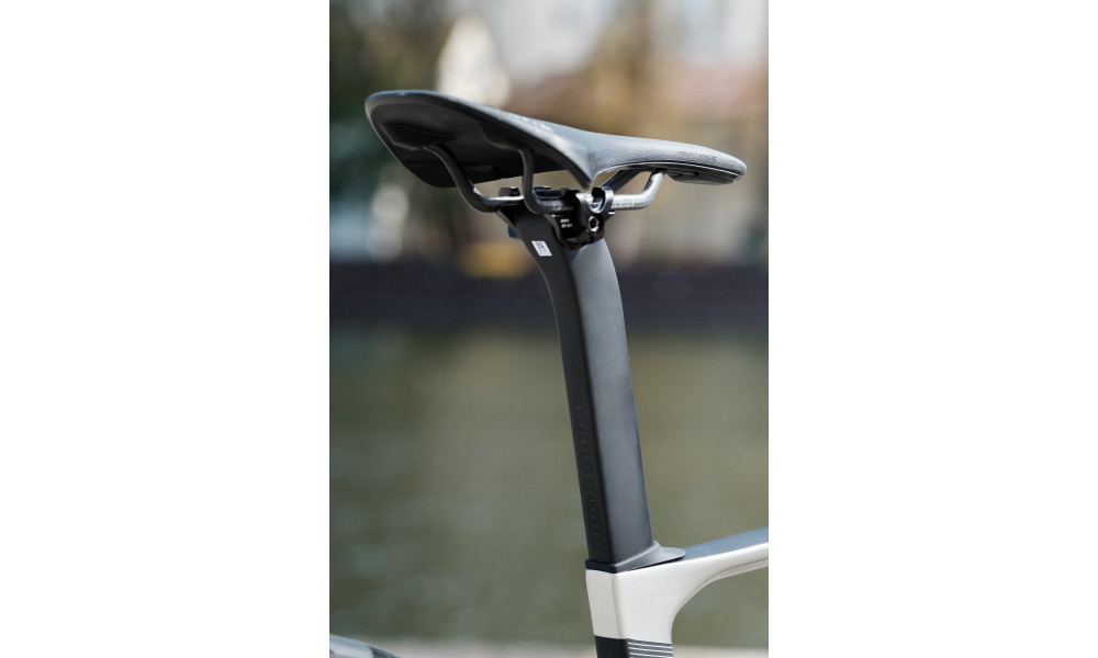 Velosipēds Raymon Arva Ultimate 2026 carbon-champagne - 2