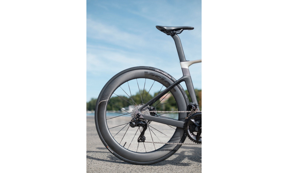 Velosipēds Raymon Arva Ultimate 2026 carbon-champagne - 7