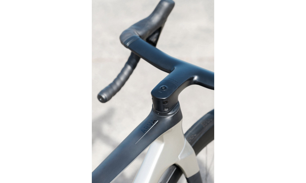 Velosipēds Raymon Arva Ultimate 2026 carbon-champagne - 15