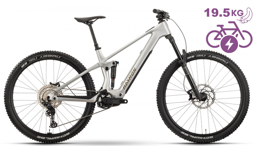 Elektriskais velosipēds Raymon Airok 29" 2025 silver stealth-taupe - 4