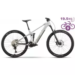 Elektriskais velosipēds Raymon Airok 29" 2025 silver stealth-taupe
