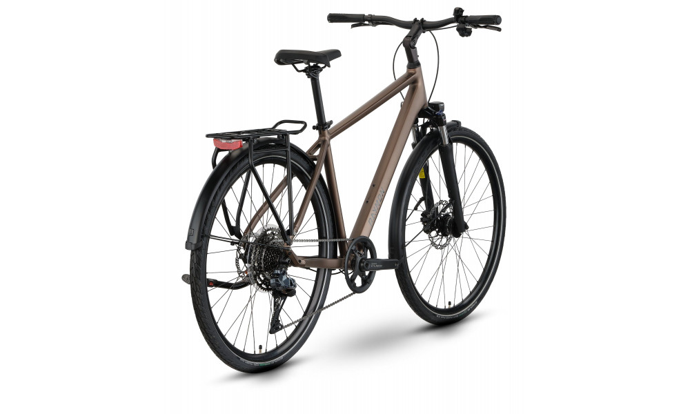 Velosipēds Raymon Zayn Auto 2026 mushroom - 2