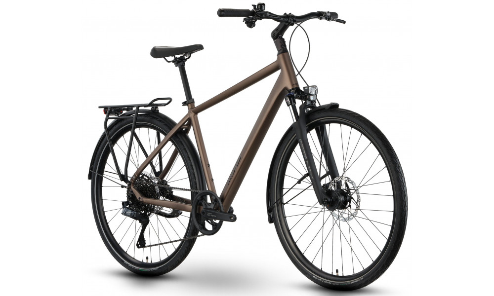 Velosipēds Raymon Zayn Auto 2026 mushroom - 3