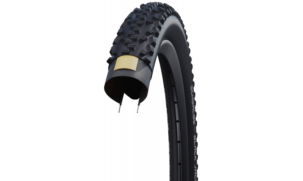 Riepa 20" Schwalbe Black Jack HS 407 Active Wired 47-406 Black - 3