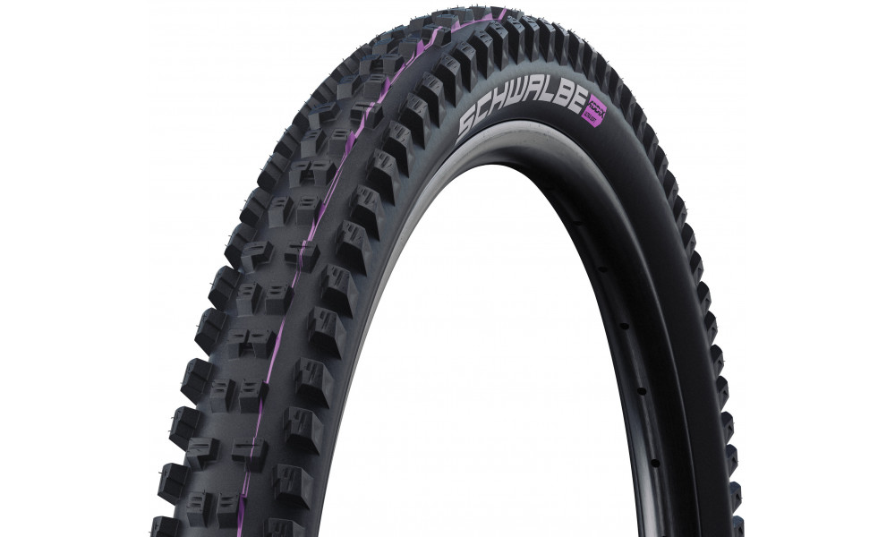 Riepa 29" Schwalbe Tacky Chan HS625 Evo Fold TLE 62-622 / 29x2.40 Super Ground 