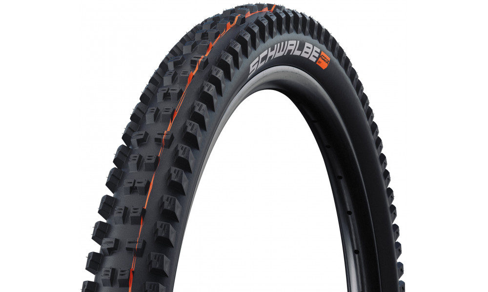 Riepa 29" Schwalbe Tacky Chan HS625 Evo Fold TLE 62-622 / 29x2.40 Super Ground - 1
