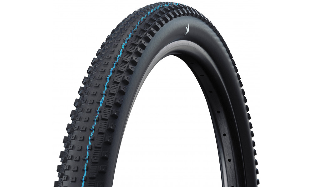 Riepa 29" Schwalbe Rick HS635 Evo Fold TLR 62-622 / 29x2.40 XC Pro 