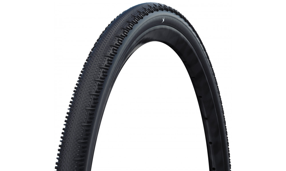 Riepa 28" Schwalbe G-One RS Pro HS621 Evo Fold TLR 45-622 / 28x1.70 Race Pro - 1
