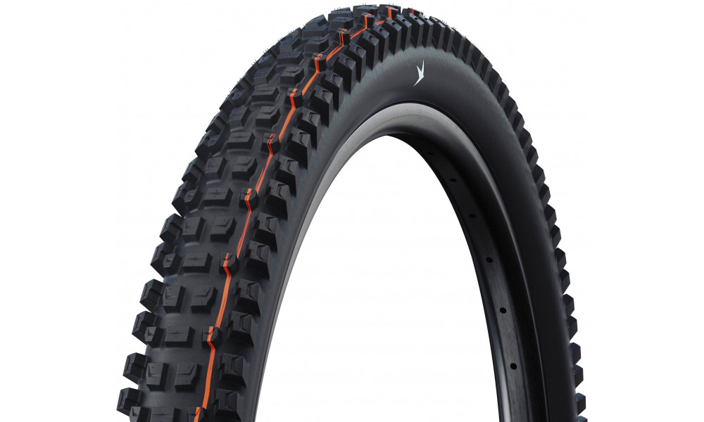 Riepa 29" Schwalbe Albert HS641 Evo Fold TLR 63-622 / 29x2.50 Gravity Pro - 1