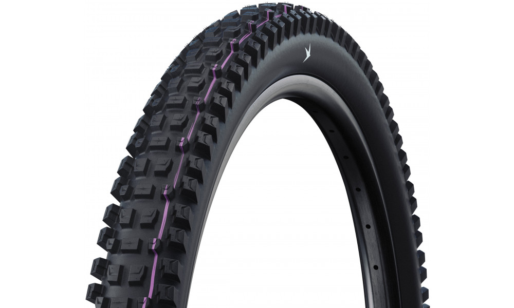 Riepa 29" Schwalbe Albert HS641 Evo Fold TLR 63-622 / 29x2.50 Gravity Pro - 1
