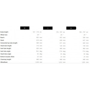 Elektriskais velosipēds Raymon Tarok 29/27.5" 2025 grey sparkle-carbon-citron