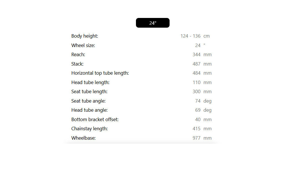 Velosipēds Raymon Nayta 24 Comp 2026 iridiumblack - 4