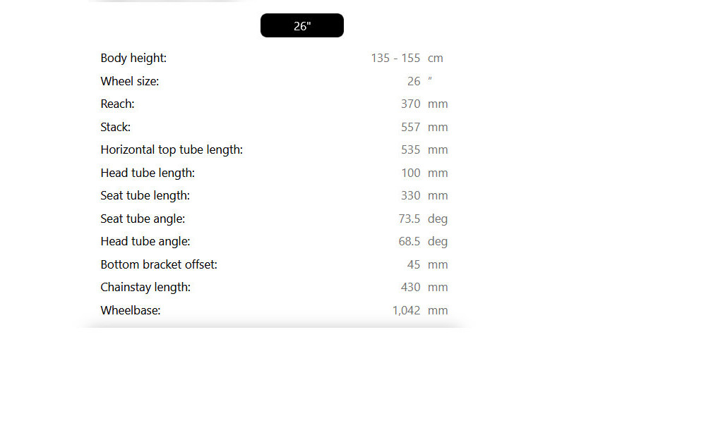 Velosipēds Raymon Nayta 26 Pro 2026 grey confetti - 4