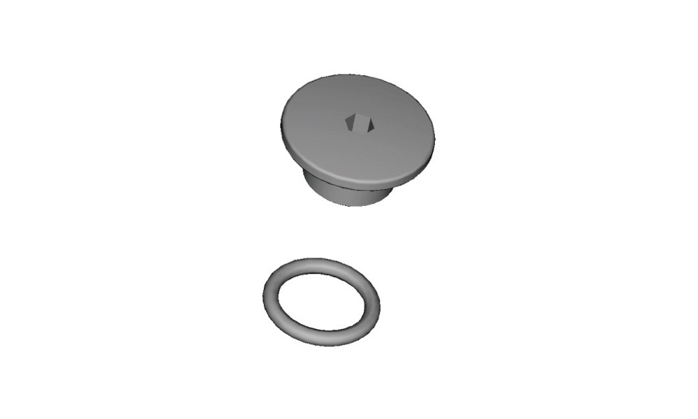 Bremžu rokturu remonta komplekts Shimano Bleed Screw and O-Ring for DURA-ACE ST-R9120 