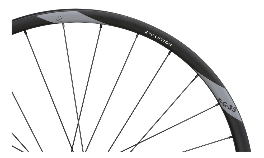 Priekšējais ritenis NEWMEN Evolution Alu SL E.G. 35 27.5" 28H SP 6-bolt 15x110 - 3