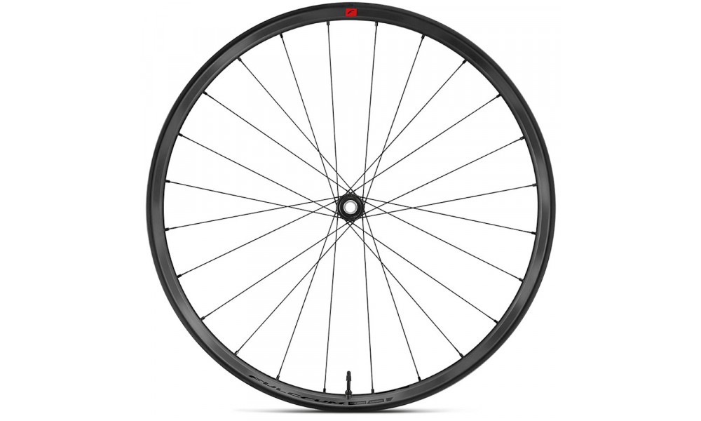 Priekšējais velosipēda ritenis Fulcrum Red Zone Carbon 29 2WF AFS Boost HH15/110 - 2