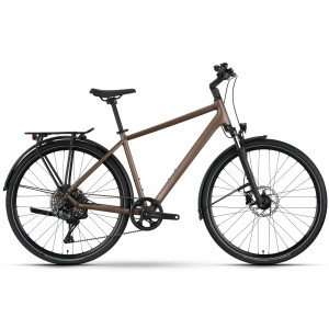 Velosipēds Raymon Zayn Auto 2026 mushroom