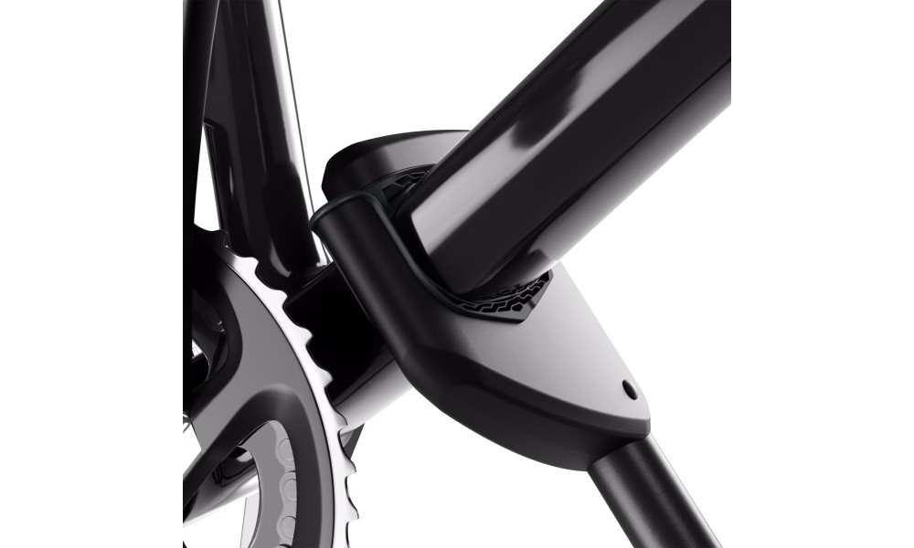 Velosipēdu turētājs Thule ProRide 598 silver - 4