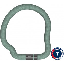 Atslēga Abus Goose 6206K/110 mint