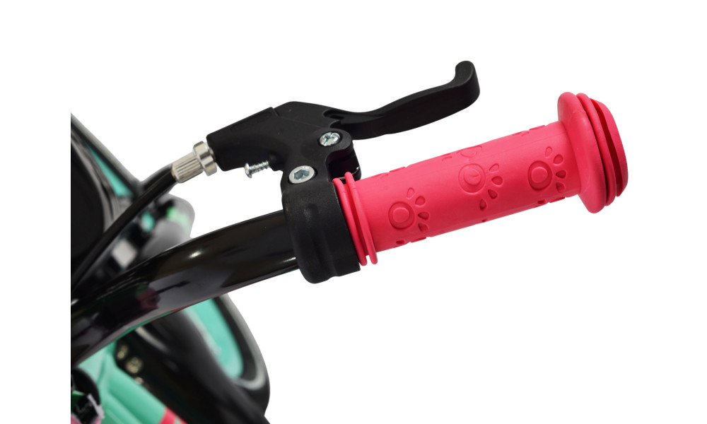 Velosipēds Karbon Jazz 16 mint - 4