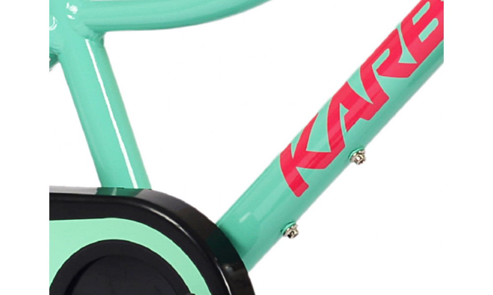 Velosipēds Karbon Jazz 16 mint - 7
