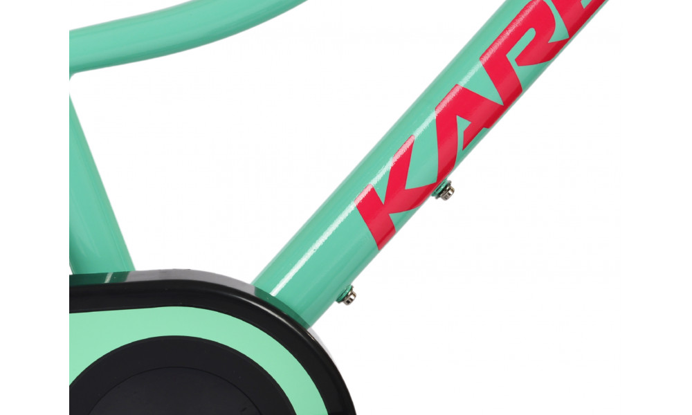 Velosipēds Karbon Jazz 18 mint - 7