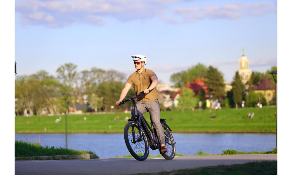 Elektro velosipēds Ecobike Dare 900Wh - 13