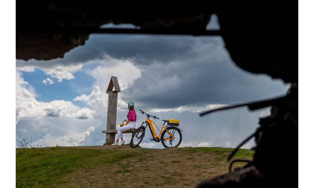 Elektro velosipēds Ecobike Expedition SUV Yellow 720Wh - 7