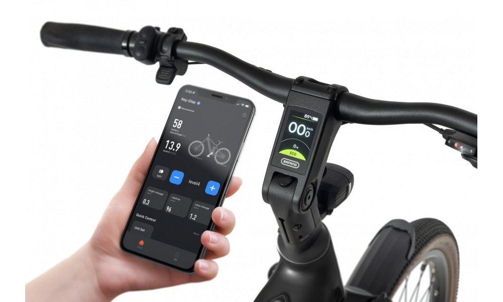 Elektro velosipēds Ecobike Flex Black 900Wh - 3