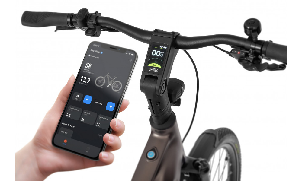 Elektro velosipēds Ecobike MX300 Golden Grey 900Wh - 2