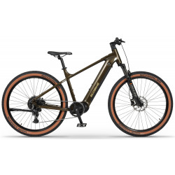Elektro velosipēds Ecobike SX300 Green V2 900Wh