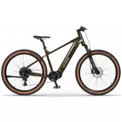 Elektro velosipēds Ecobike SX300 Green V2 900Wh