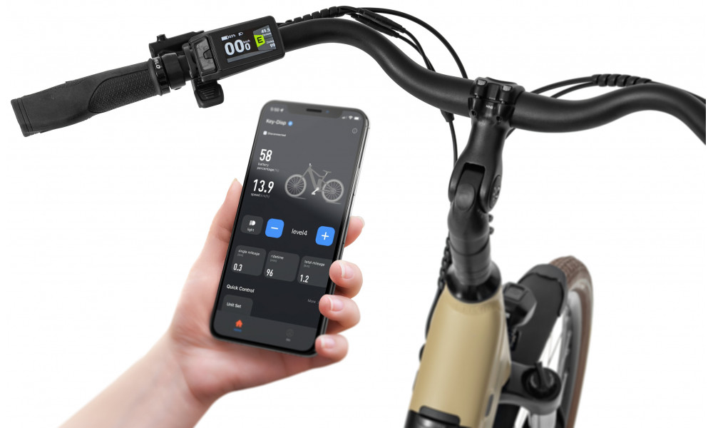 Elektro velosipēds Ecobike X-City Cappuccino V3 630Wh - 18