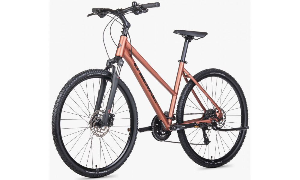 Velosipēds Unibike Flash LDS 2026 brandy - 3