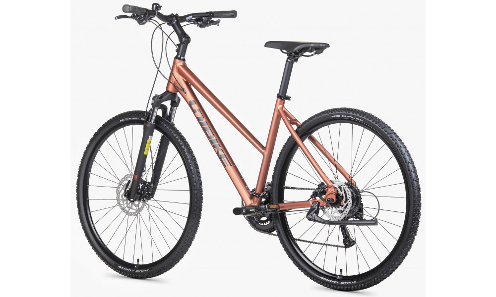 Velosipēds Unibike Flash LDS 2026 brandy - 4