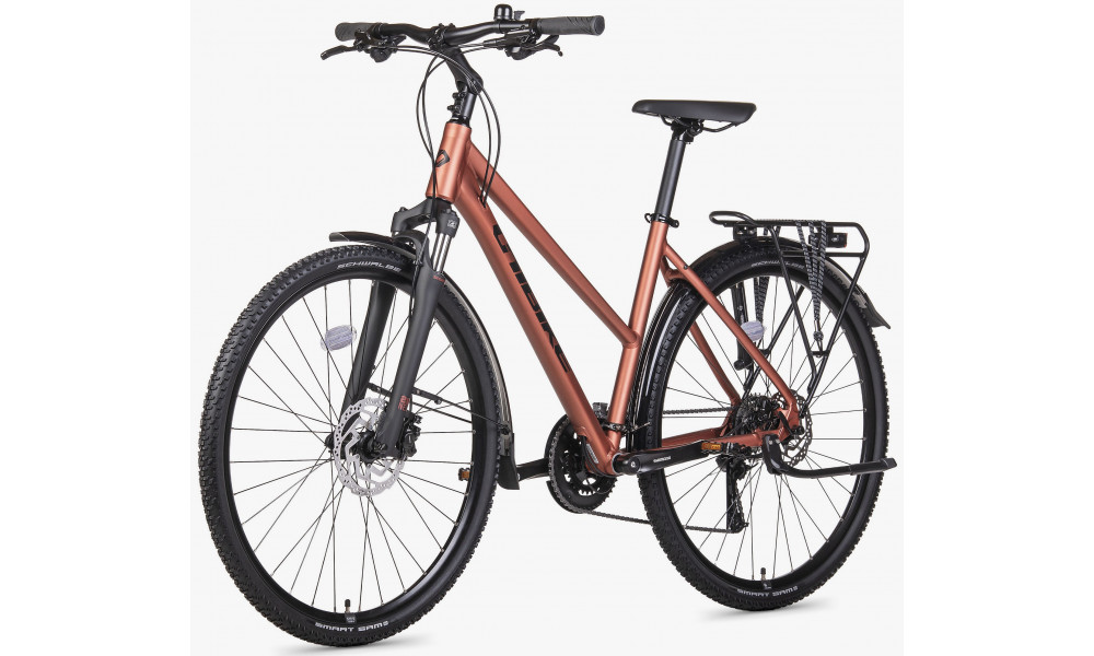 Velosipēds Unibike Flash EQ LDS 2026 brandy - 3