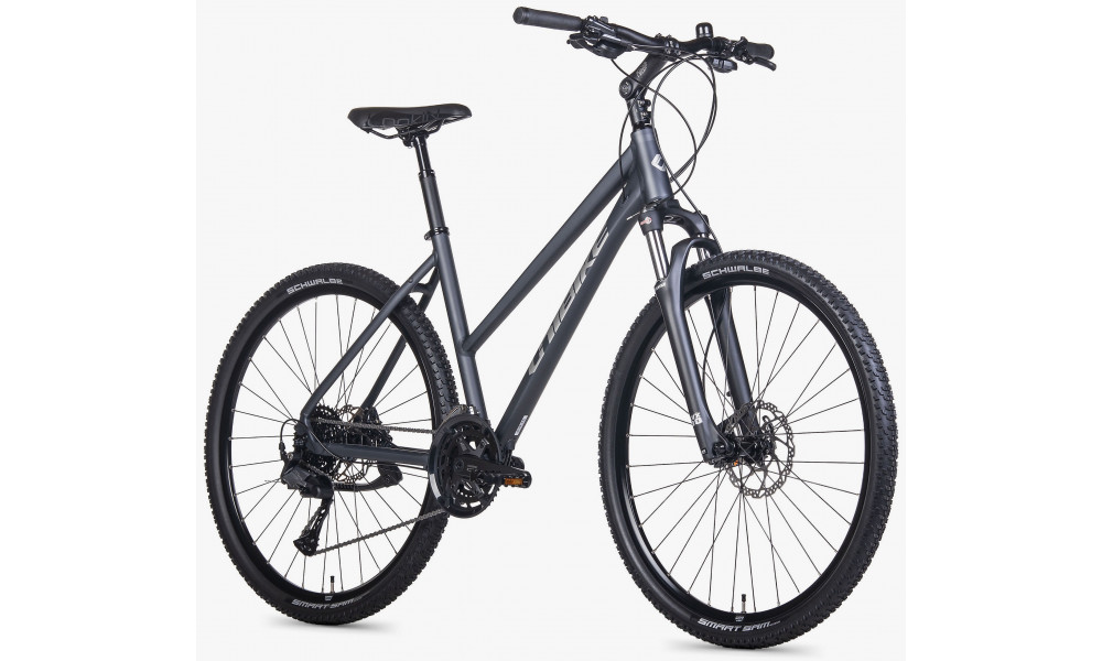 Velosipēds Unibike Viper LDS 2026 grey - 2