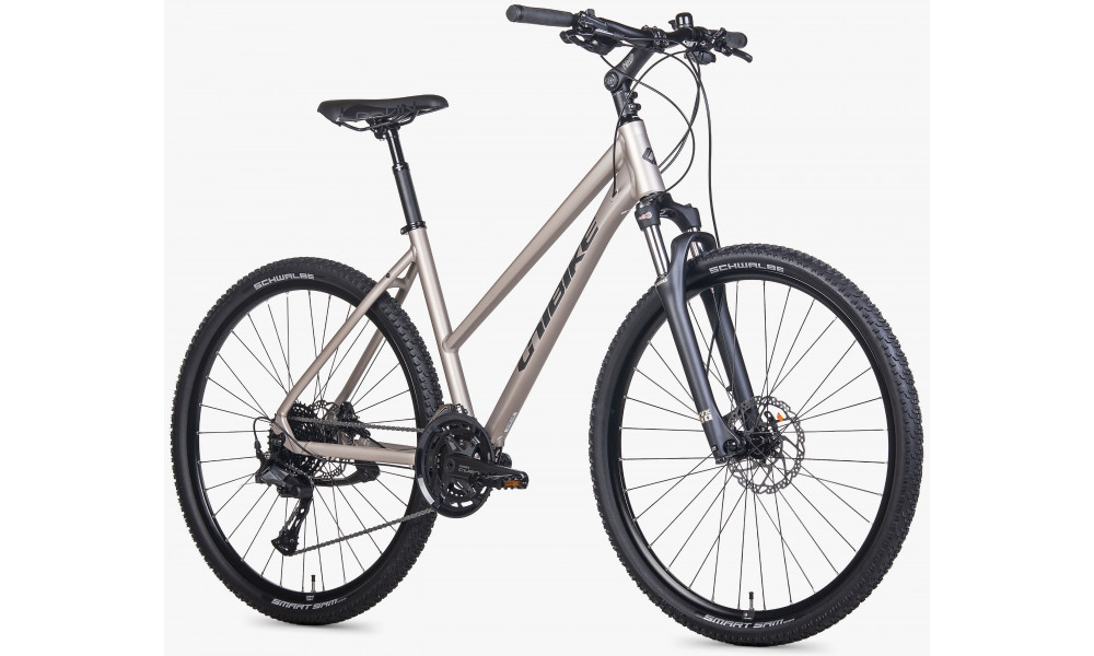 Velosipēds Unibike Viper LDS 2026 titan - 2