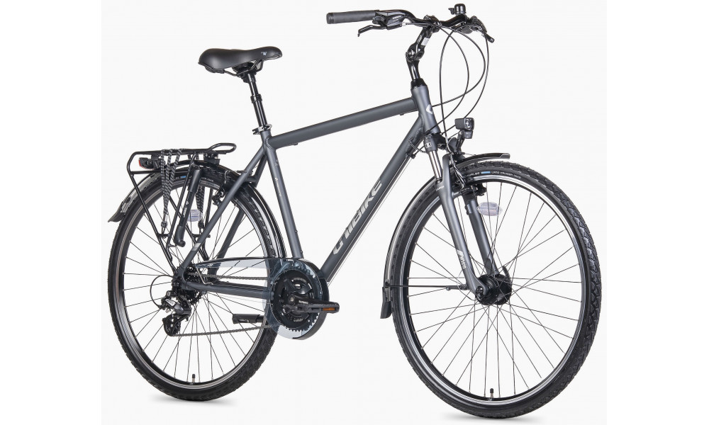 Velosipēds Unibike Vision GTS 2026 grey - 2