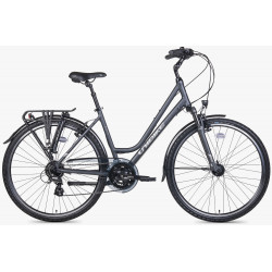 Velosipēds Unibike Vision LDS 2026 grey