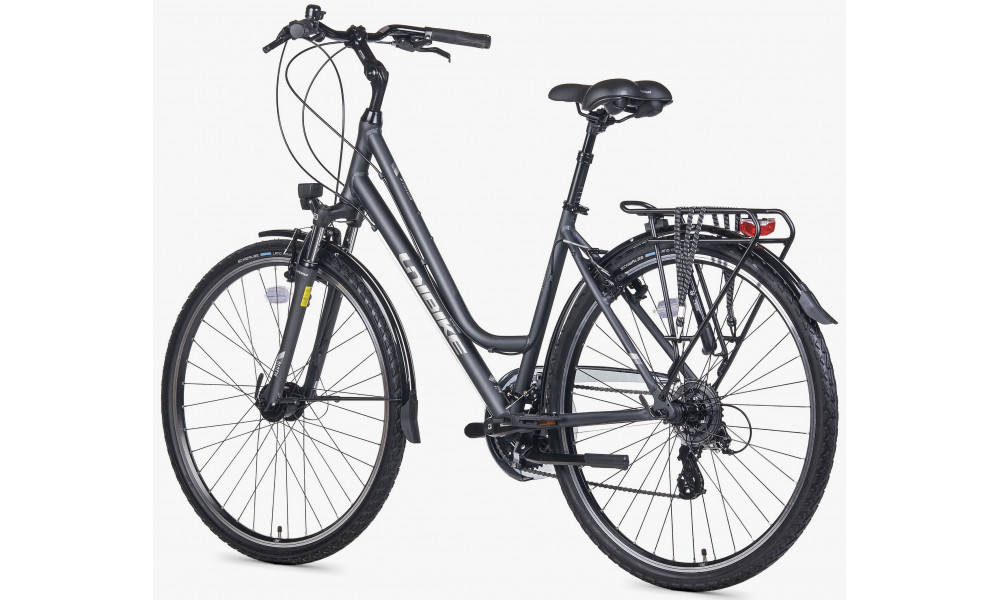 Velosipēds Unibike Vision LDS 2026 grey - 4