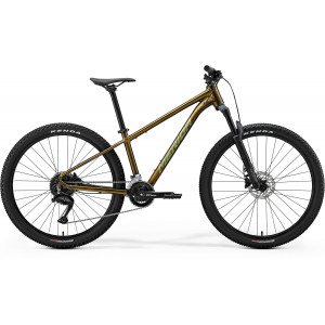 Velosipēds Merida Big.Seven 60 2026 silk pineapple gold(green)