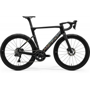 Velosipēds Merida Reacto Team 2026 silk black(glossy dark silver)