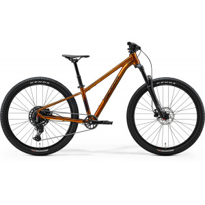 Velosipēds Merida Matts J.Champion III2 2026 wild honey(black)